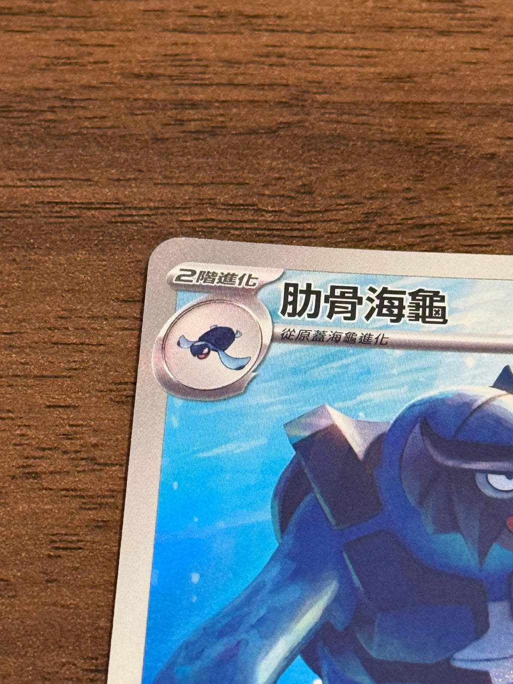 肋骨海龜  SV11B 111/086 繁中 (AR)