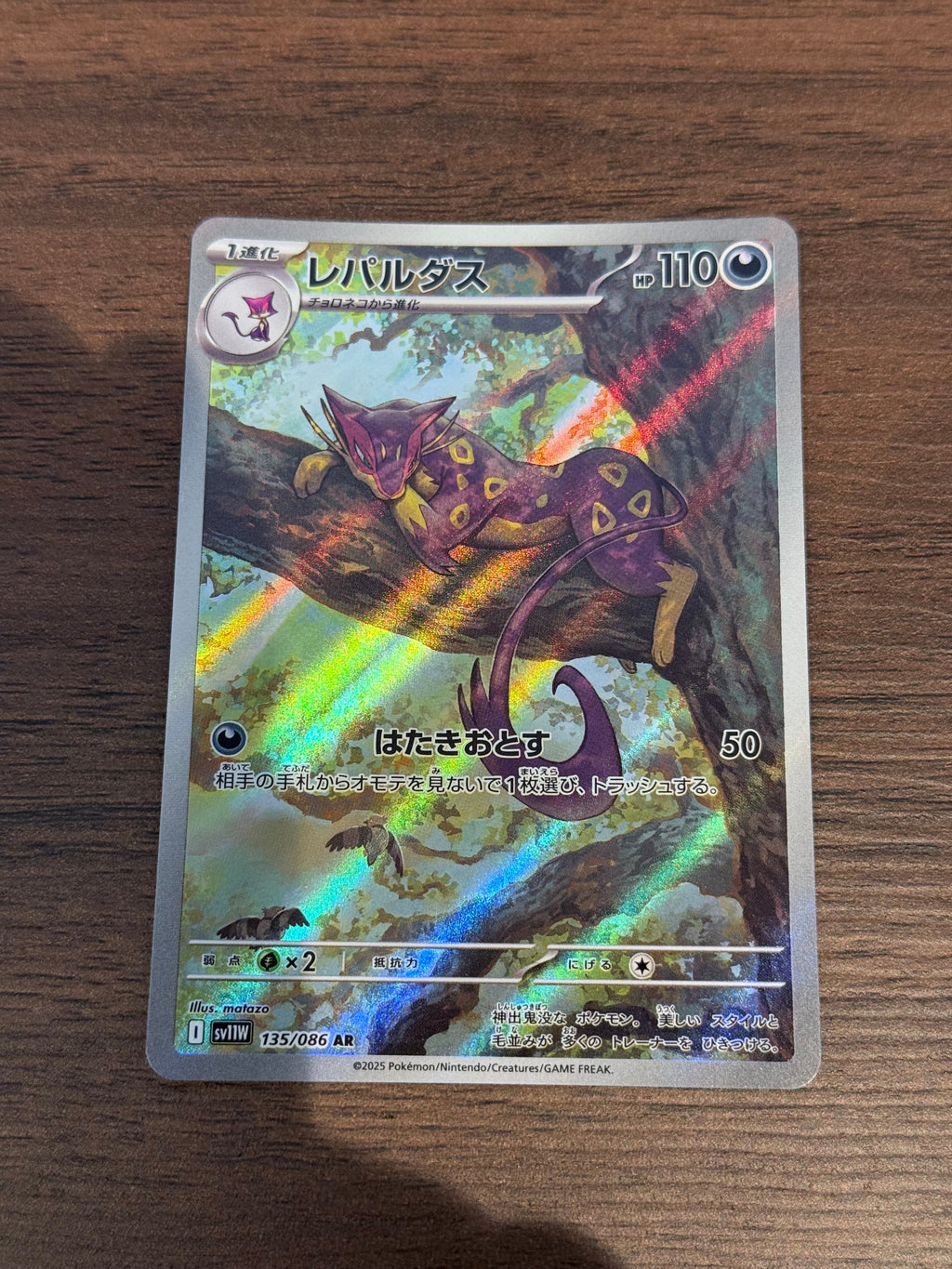 レパルダス [sv11W]135/086(AR)