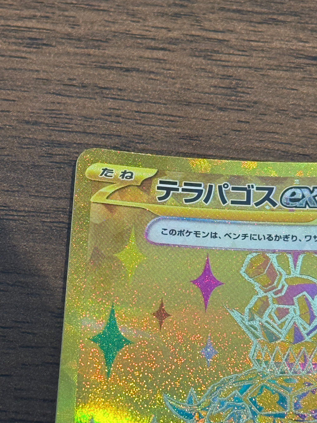 テラパゴスex [sv8a]237/187(UR)