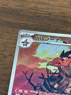 バルジーナ [sv11B]145/086(AR)