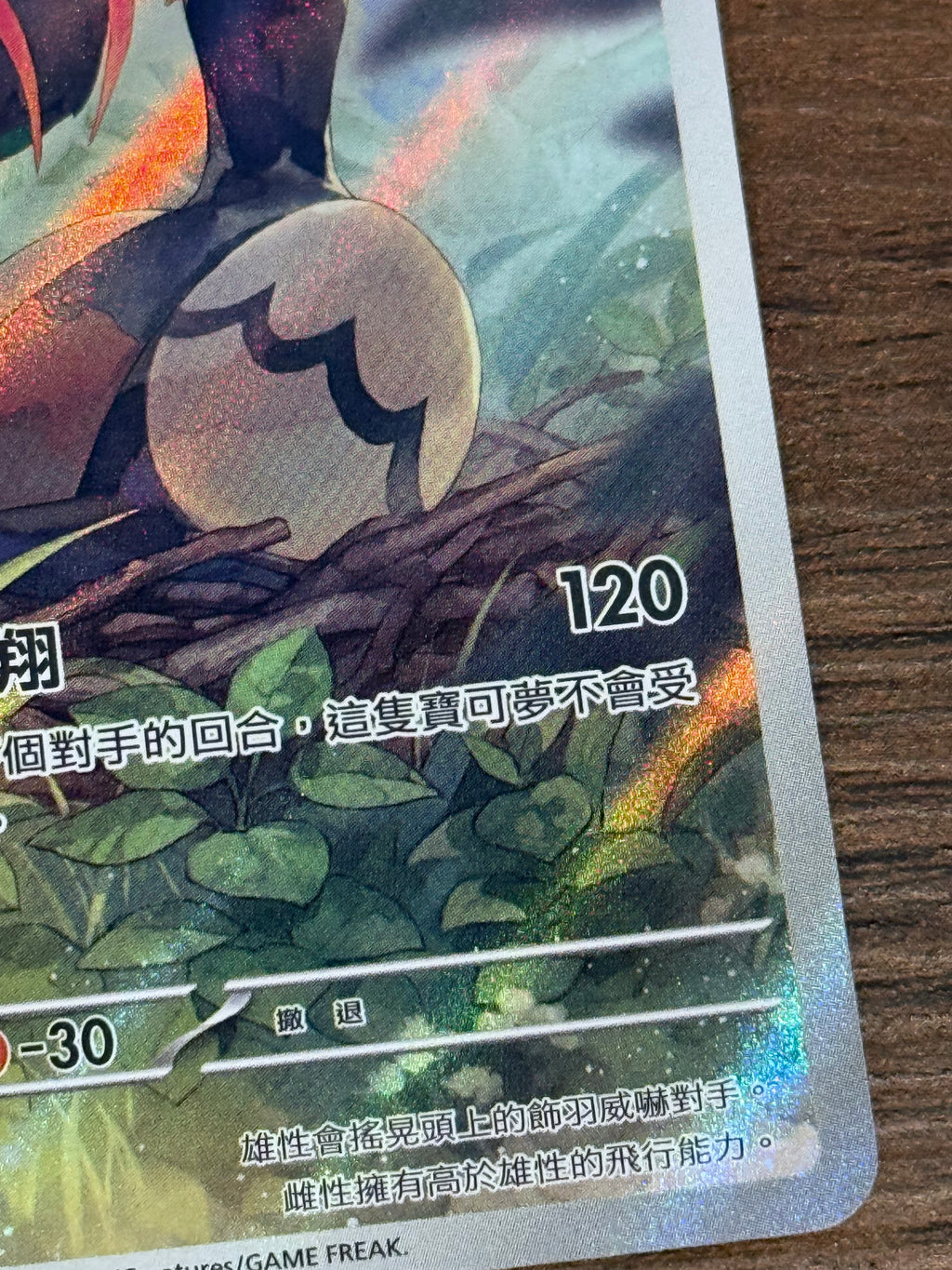 高傲雉雞 SV11B 155/086 繁中 (AR)