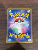 ビワ [sv5K]096/071(SAR)