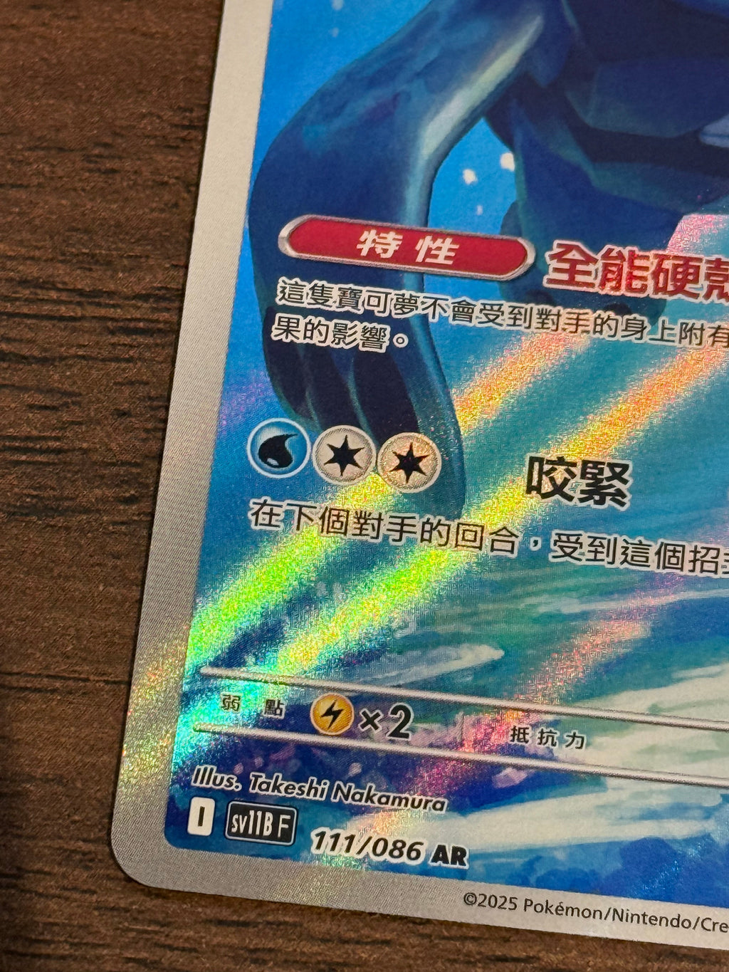 肋骨海龜  SV11B 111/086 繁中 (AR)